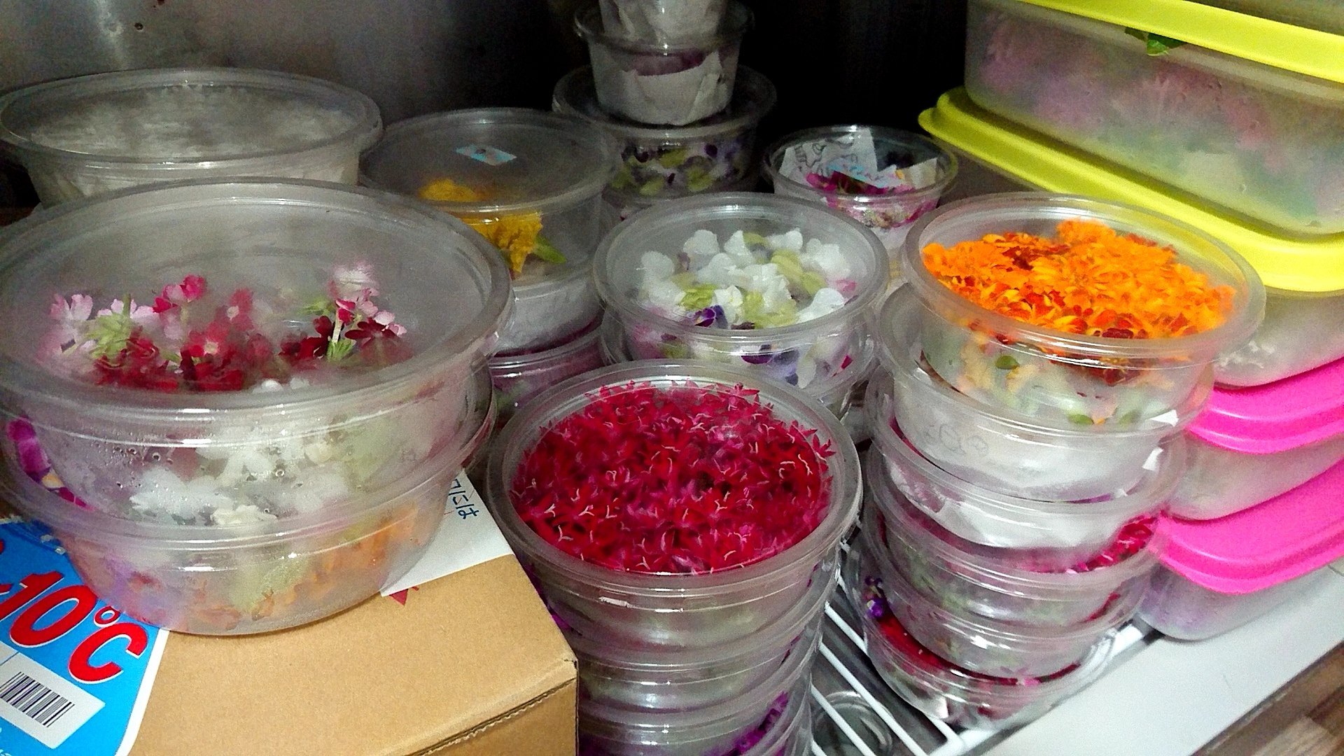 夏休み最終週末！？