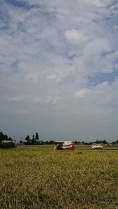 21175910_1437646309646764_1272996343_n