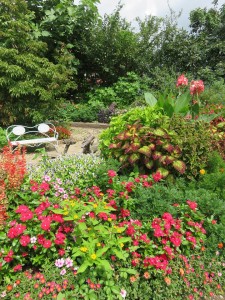 21291295_1441682872576441_463847982_n