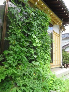 21291776_1441669422577786_1768558168_n