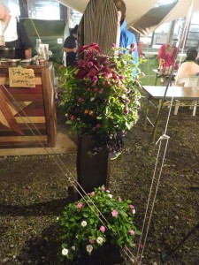 21371282_1448143218597073_4932973073841943476_n