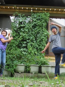 21397515_1443438045734257_496372142_n