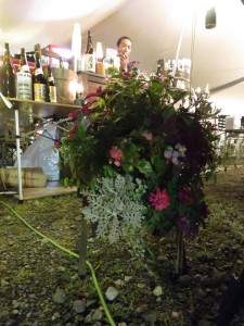 21433271_1448143411930387_426657868196997000_n