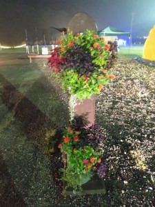 21558817_1448143075263754_5942777999936226292_n