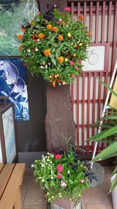 21741664_1450559255022136_783775083_n