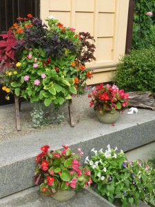 21744629_1452979611446767_536049857_n