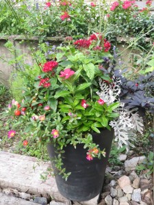 21744660_1452979908113404_462797544_n