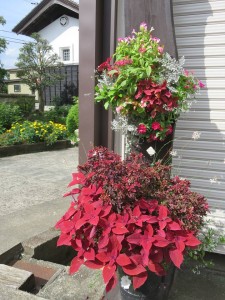 21754183_1452980311446697_1989455687_n