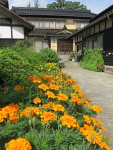 21754194_1452980271446701_506660805_n