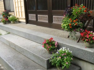 21755043_1452979888113406_272847624_o