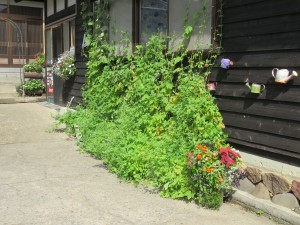 21766985_1452980308113364_30916465_o