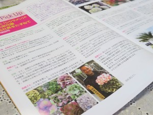 21895093_1457419881002740_1027153363_o