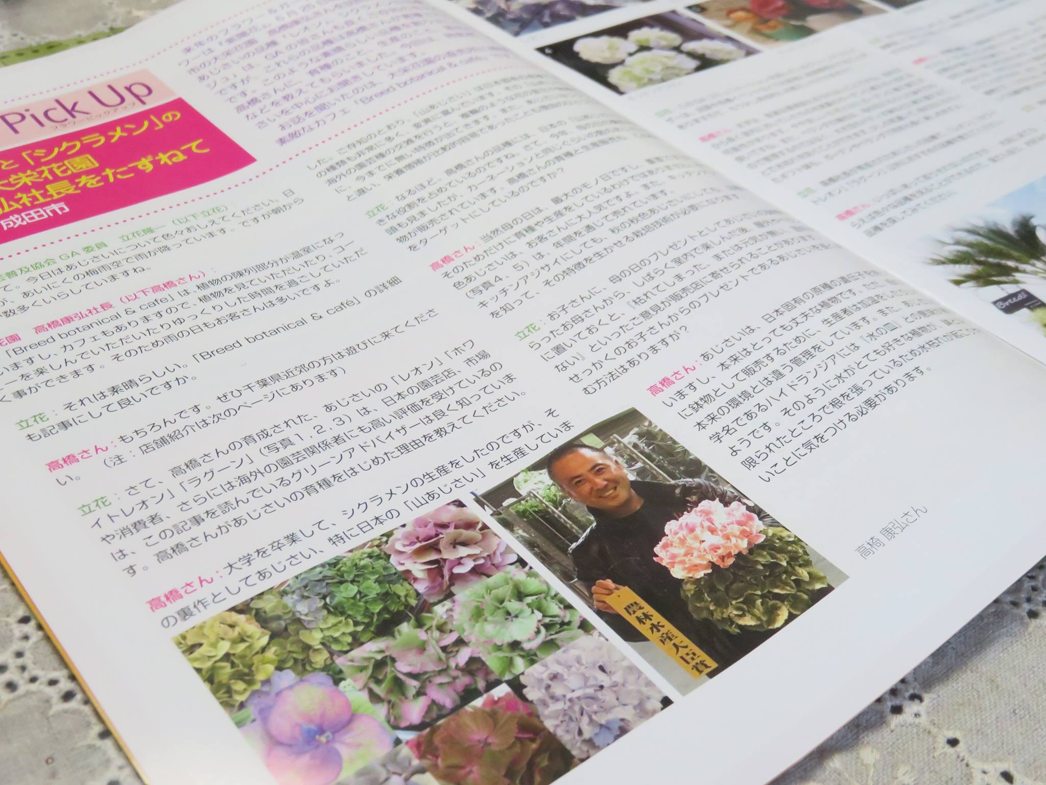 シクラメンの師匠☆