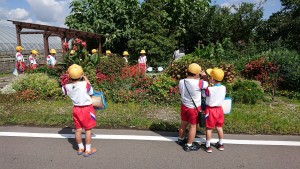 21952409_1459618180782910_1645211850_o