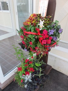 22091893_1464280710316657_1975369062_n