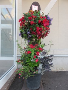 22118921_1464280680316660_857195405_n