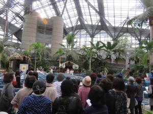 19911542_1468860286525366_1868862895_o