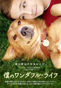 22050318_1465895080155220_5586457934225551828_n