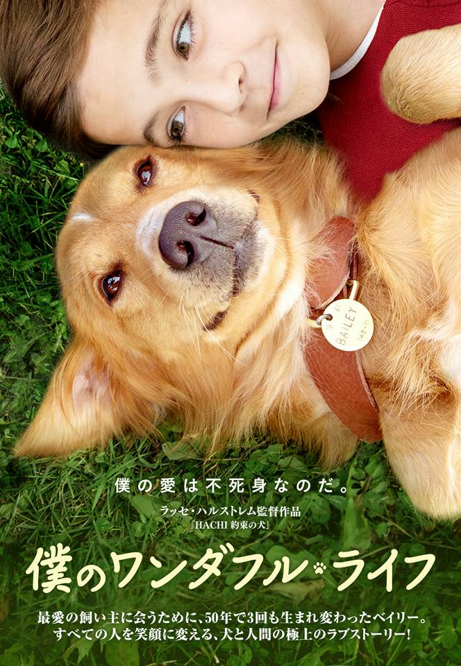 激務で過密な週末！！