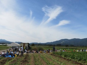 22089228_1465895036821891_1418417405456593095_n