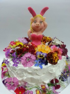 22089572_1540745929324817_7909276534173324416_n