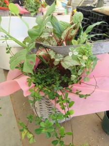 22127597_1465439013534160_1605047959_n