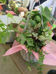 22155087_1465438480200880_918336192_n