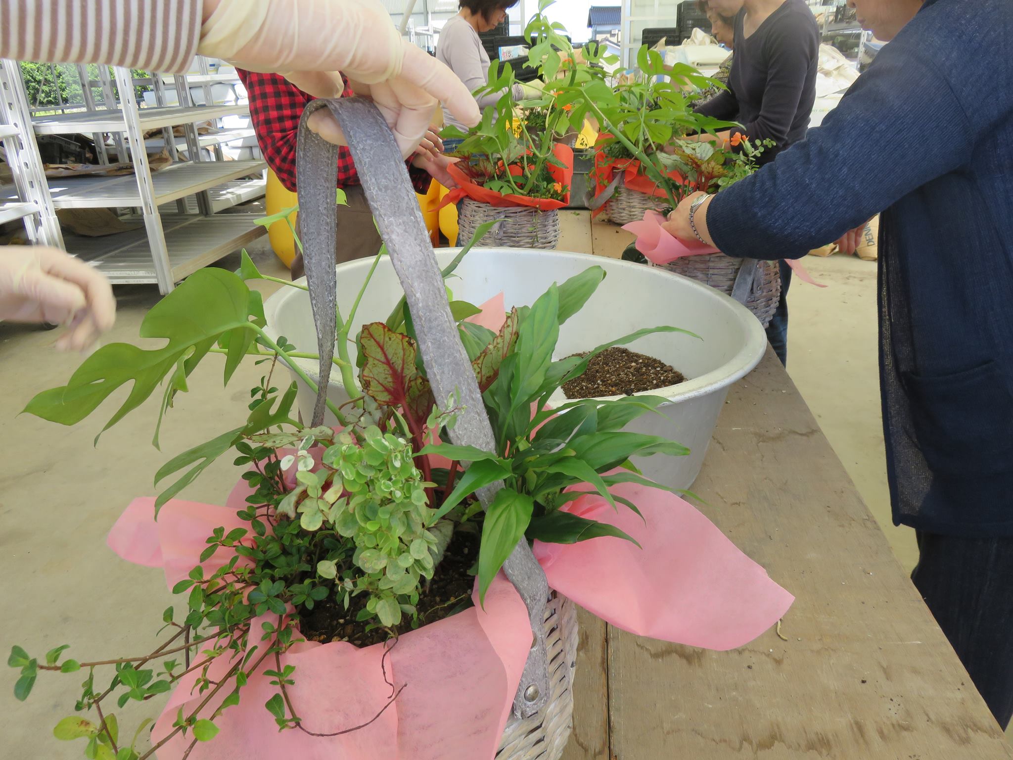 通年の寄せ植え教室！！