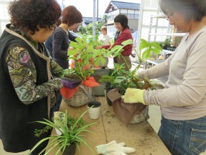 22197758_1465438493534212_1515689321_o