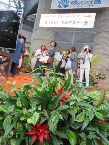 22236485_1468860546525340_1114510826_n