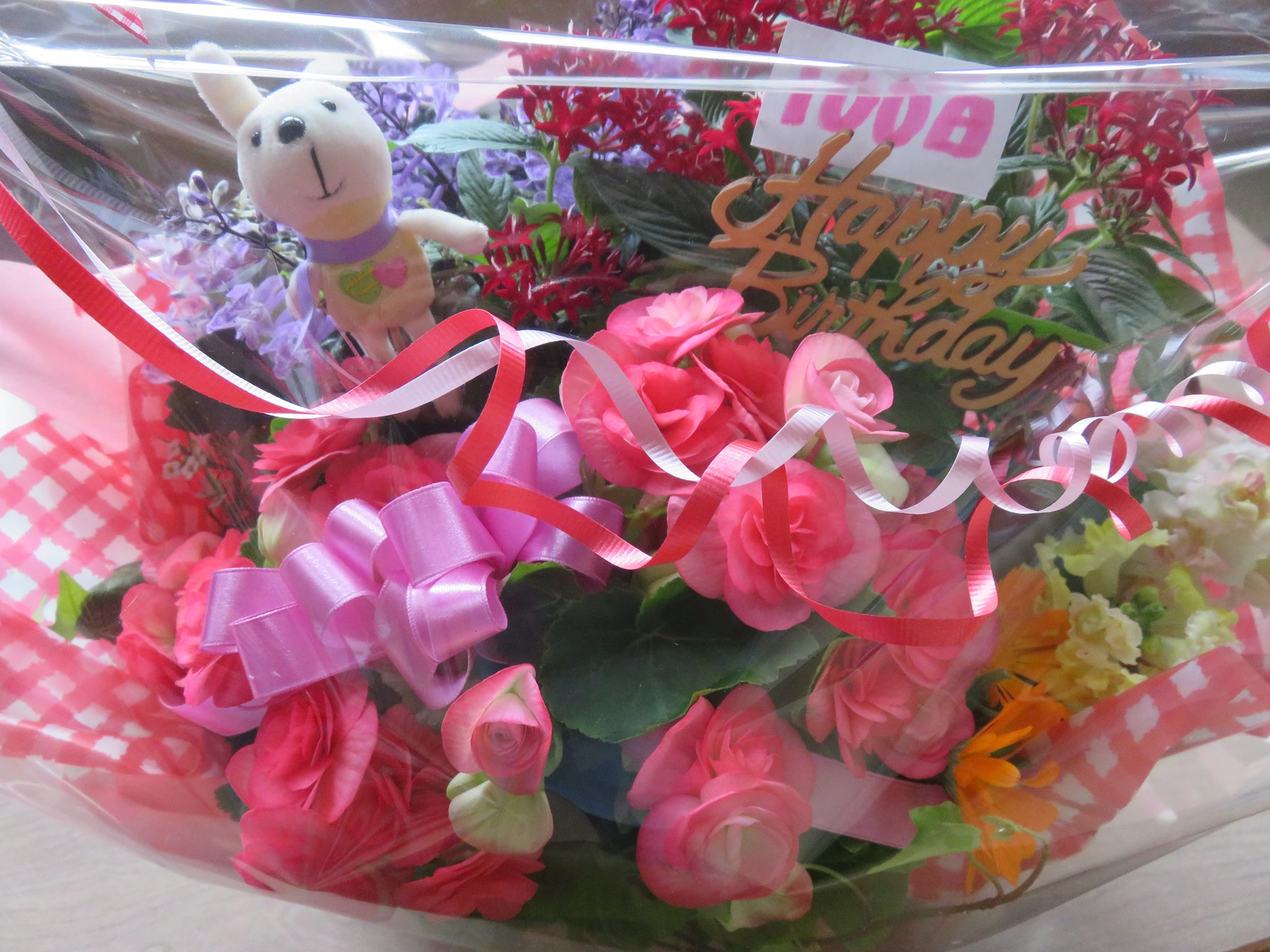 １００日のお祝い☆