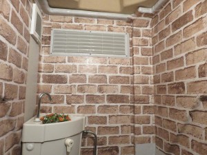 22256800_1470766229668105_7655045939041589801_o