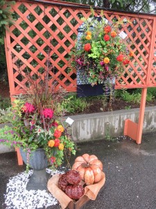 22264745_1468857086525686_743945529_n