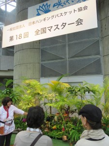 22264950_1468860289858699_1450995918_n