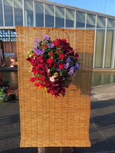 22278797_1470590326352362_848147979_n