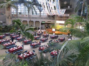 22278994_1468860559858672_1669983852_o