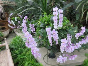 22279146_1468857486525646_752108740_o