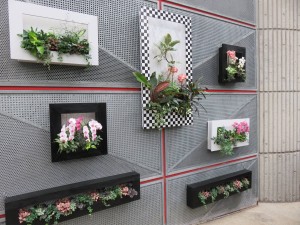 22281154_1468859506525444_525106037_o