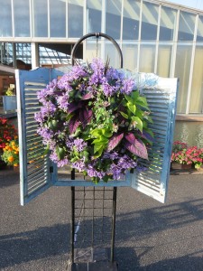 22290332_1470590333019028_624199433_n