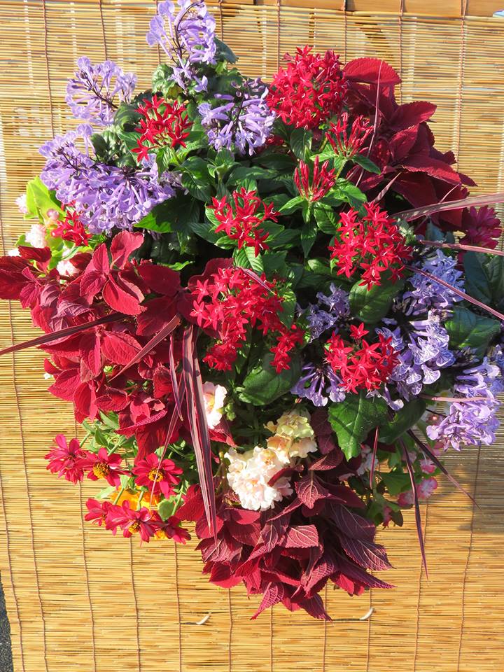 今年も四季彩館前にハンギング作品展！！