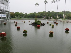 22290792_1468859823192079_1527036239_o