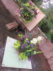 22291715_1468857096525685_869585397_n