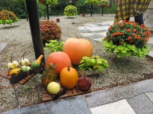 22292243_1468859256525469_1516983607_o