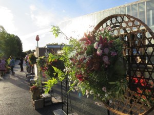 22312242_1470591343018927_1284324731_o