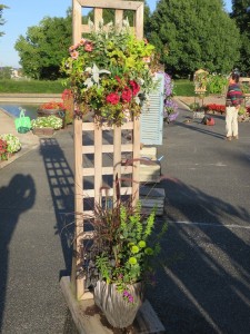 22330777_1470590309685697_1522641610_n