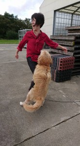 22366732_1476132805798114_9142669900236387912_n