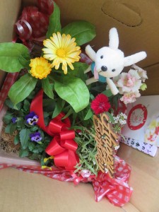 22386450_1474180199326708_931910959_n