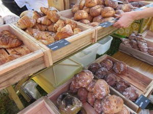 22405693_1472772512800810_2167857596727286947_n