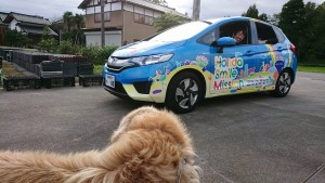 22406184_1476132869131441_1022776751621983431_n