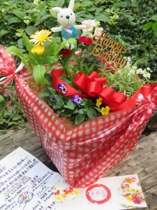 22407696_1474180189326709_443970746_n